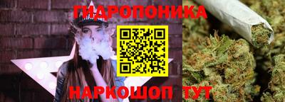 mdpv Беслан