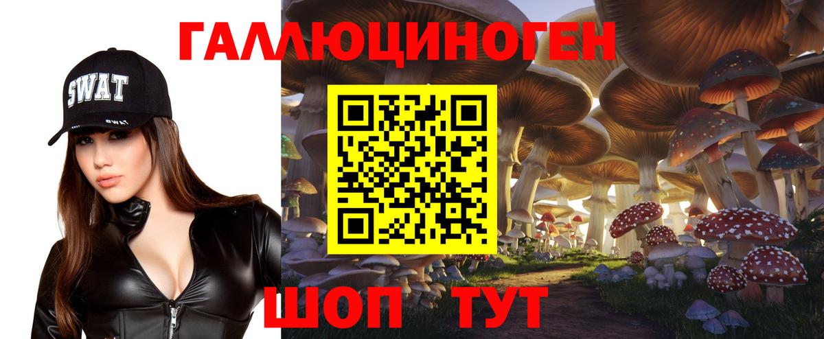 Белово  Псилоцибиновые грибы ЛСД  Вход с VPN  Галлюциногенные грибы Psilocybe 